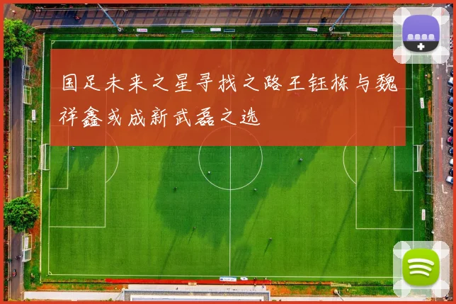 国足未来之星寻找之路王钰栋与魏祥鑫或成新武磊之选