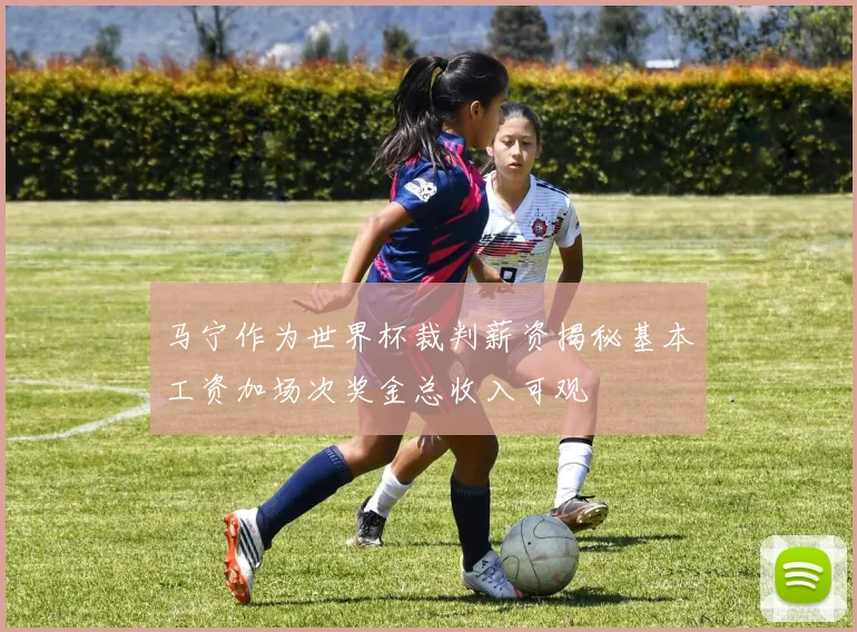 马宁作为世界杯裁判薪资揭秘基本工资加场次奖金总收入可观